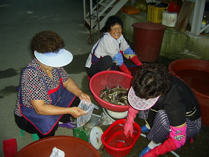 물고기 손질을 하고 있는 세 아주머니(할머니?). 안경 쓰고 웃고 있는 분이 여든 아홉이라 농담하던 정전순씨입니다. 